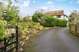 Driveway- click for photo gallery